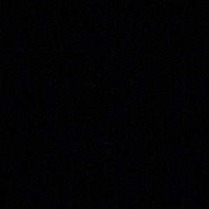 Meet your Posher, Bella